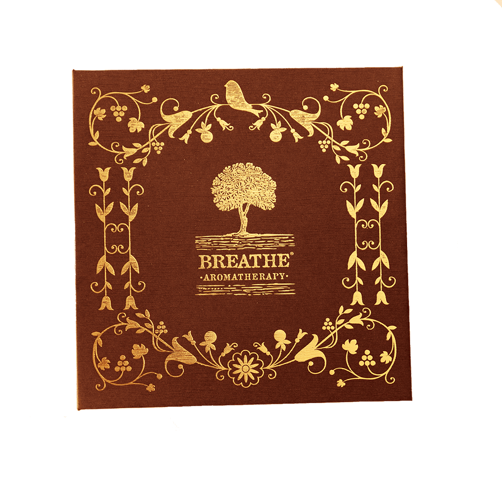 Breathe Experience Book