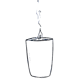 Zesty Citron Luxury Reed & Wick Set